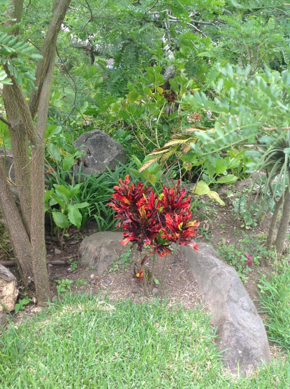 Hotel Y Bungalows Ecologicos Marcelo Santiago Atitlán Dış mekan fotoğraf