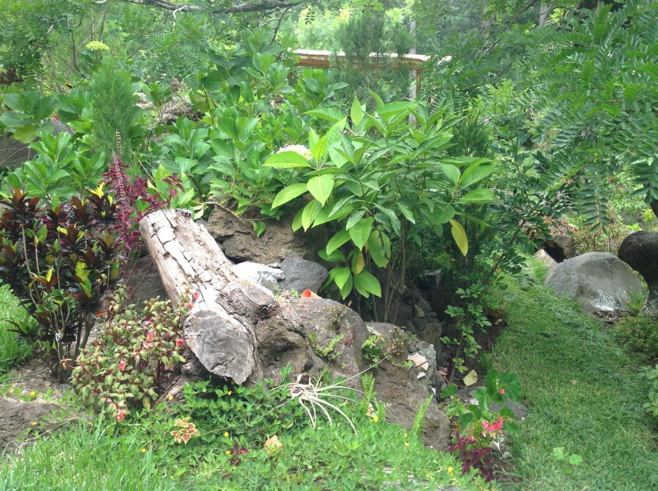Hotel Y Bungalows Ecologicos Marcelo Santiago Atitlán Dış mekan fotoğraf