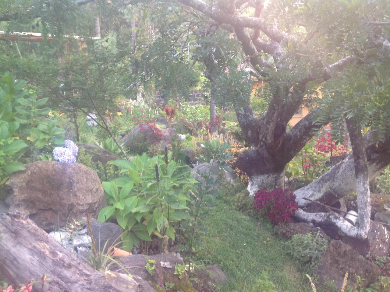 Hotel Y Bungalows Ecologicos Marcelo Santiago Atitlán Dış mekan fotoğraf