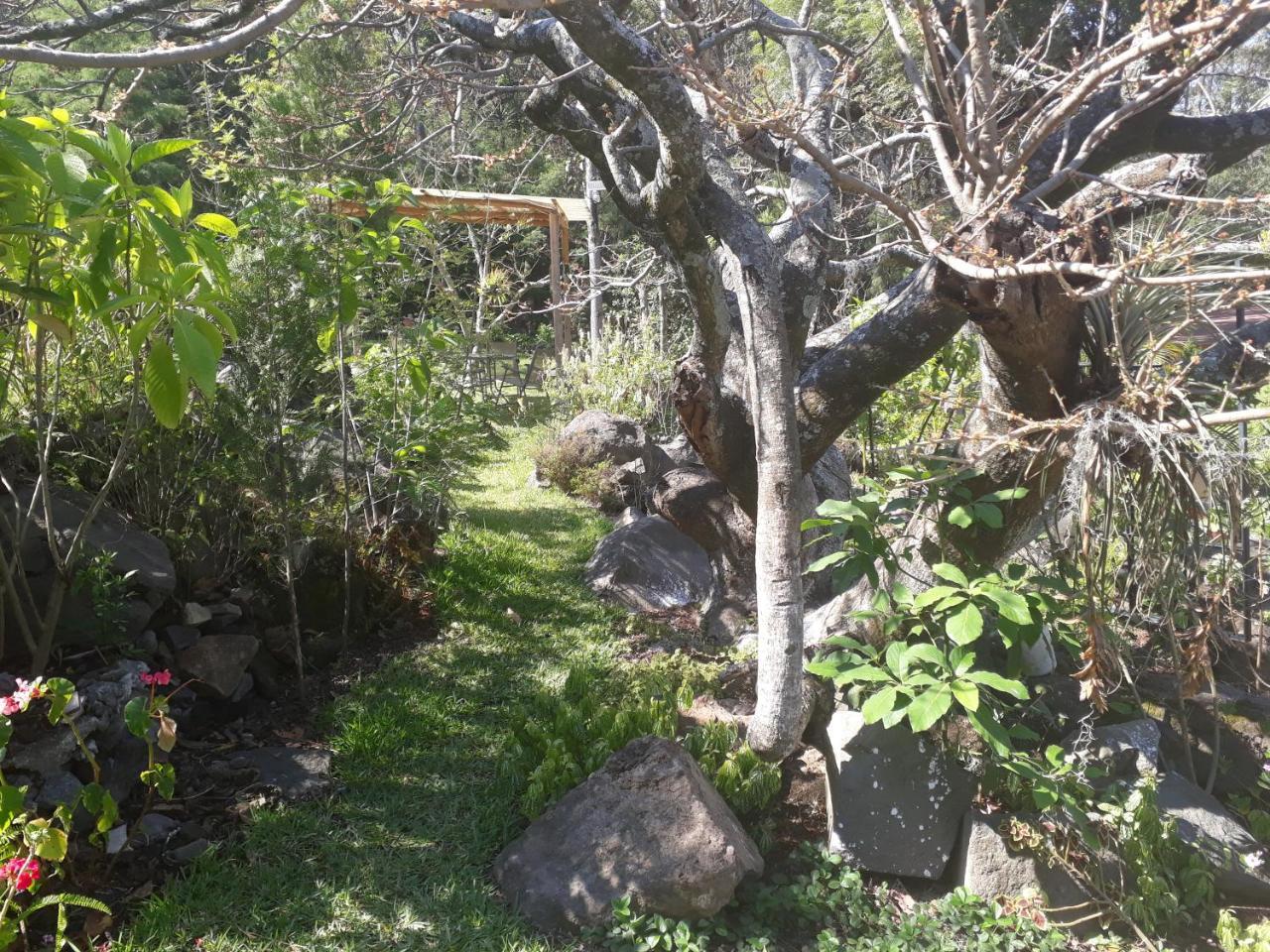 Hotel Y Bungalows Ecologicos Marcelo Santiago Atitlán Dış mekan fotoğraf