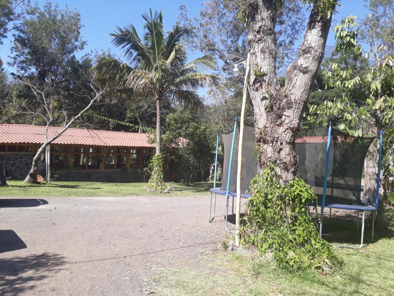 Hotel Y Bungalows Ecologicos Marcelo Santiago Atitlán Dış mekan fotoğraf