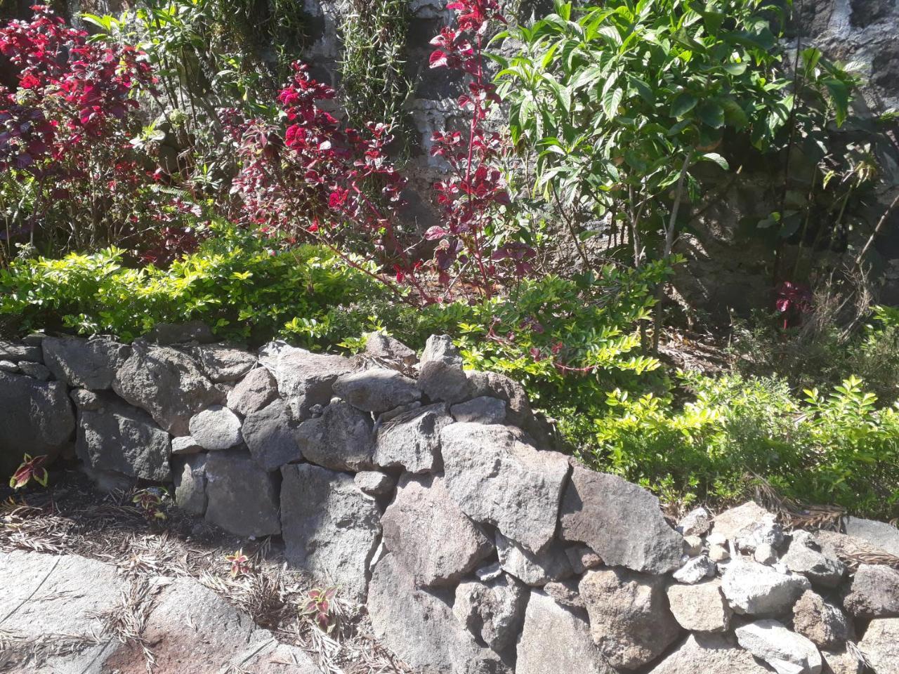 Hotel Y Bungalows Ecologicos Marcelo Santiago Atitlán Dış mekan fotoğraf
